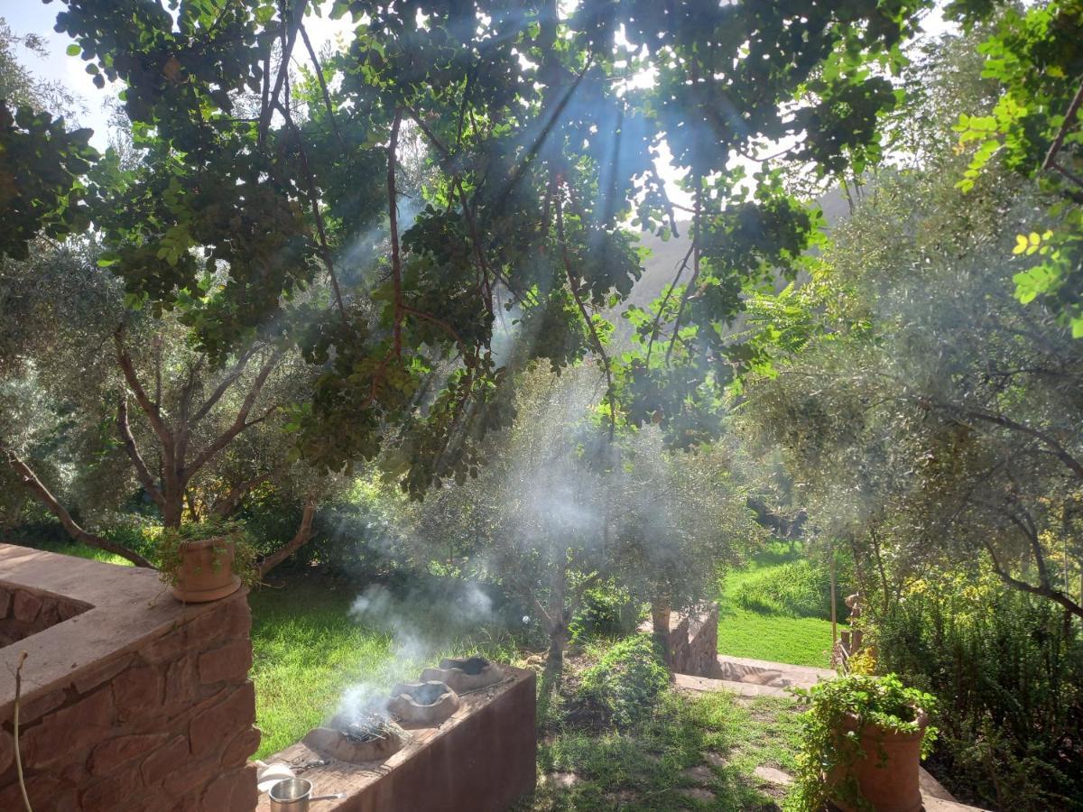 Ourika Timalizene Le Jardin Des Delices Hotel Tamezindert Ngoại thất bức ảnh